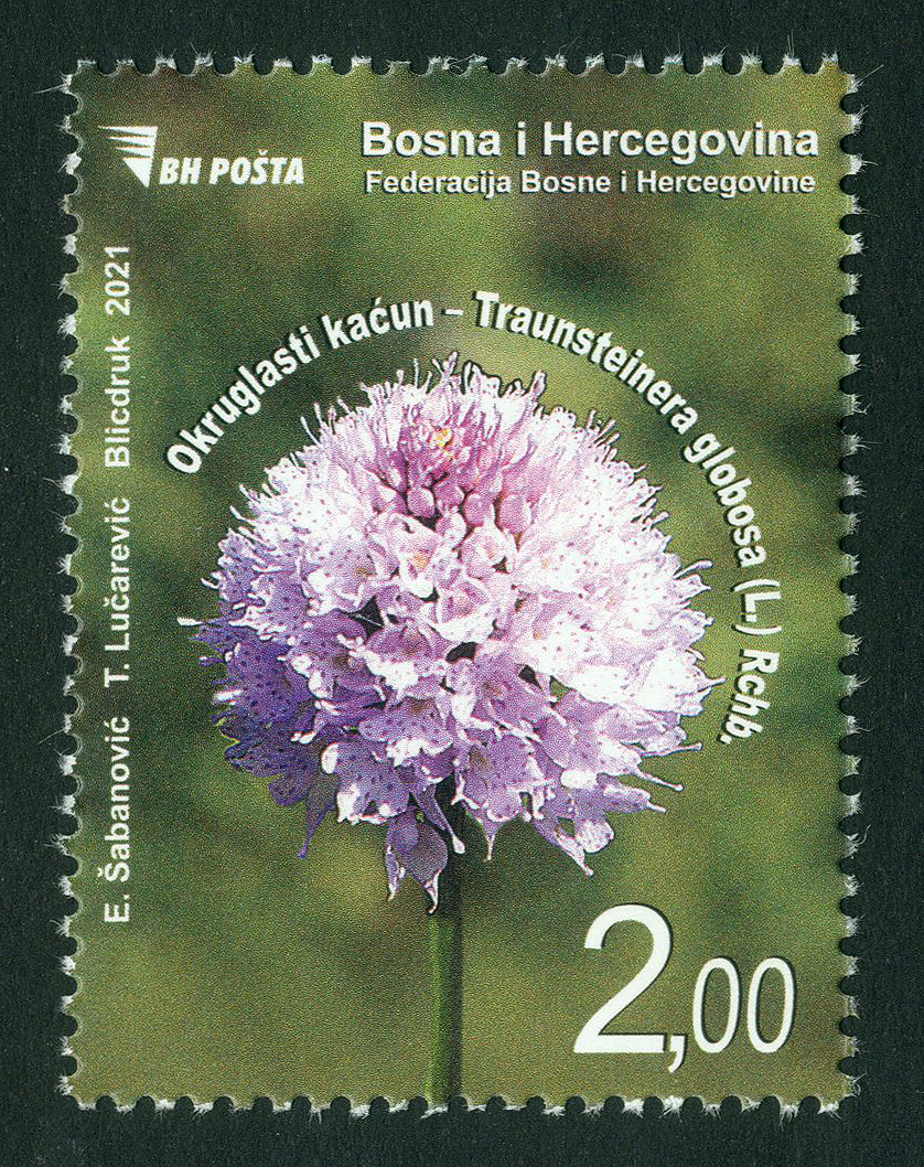 a-special-postage-stamp-flora---round-orchida